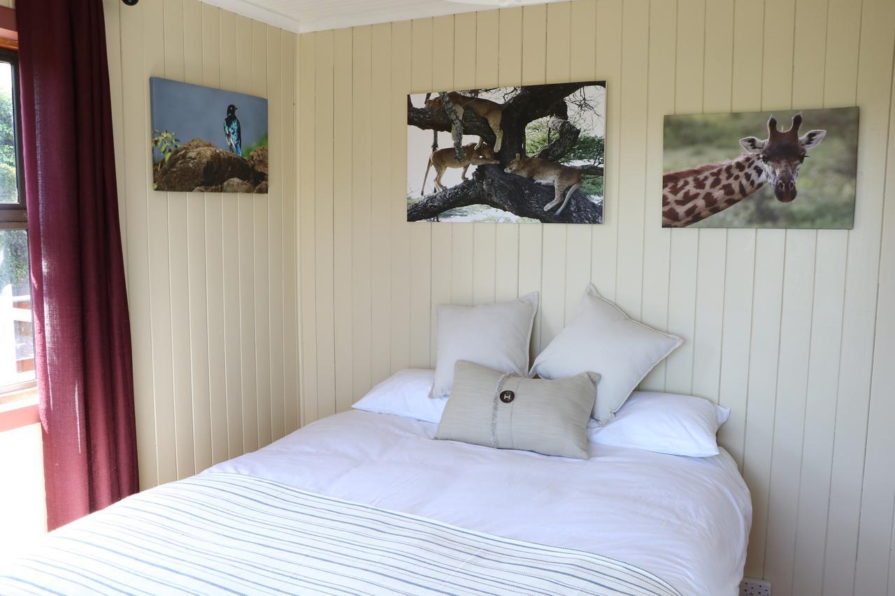 Allan Grove Knysna Dış mekan fotoğraf